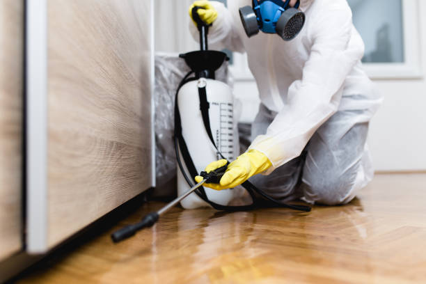 Best Affordable Pest Control Services  in Wofford Heights, CA