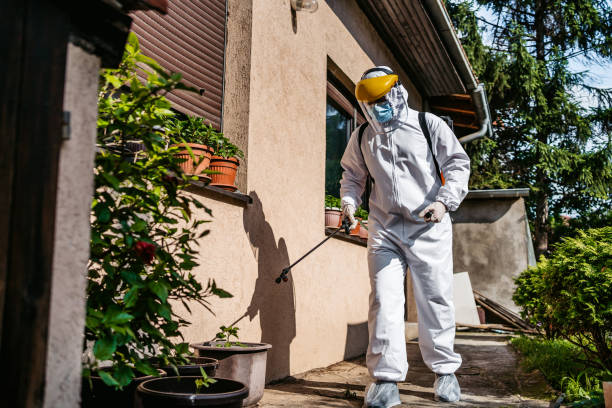 Best Rodent Control Near Me  in Wofford Heights, CA