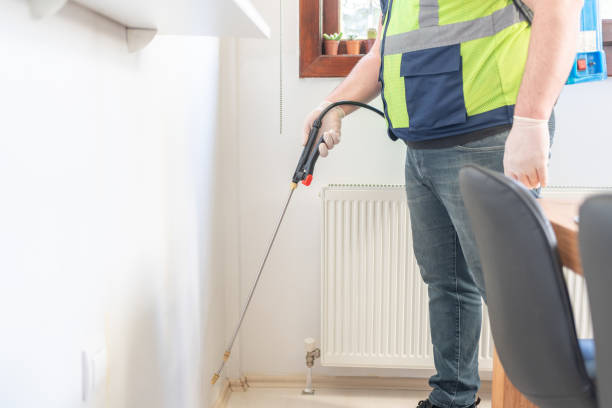 Best Local Pest Control Services  in Wofford Heights, CA