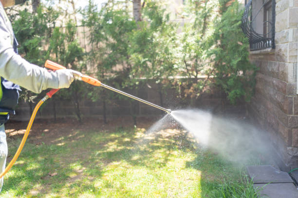 Best Pest Control for Restaurants  in Wofford Heights, CA