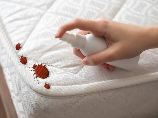 Best Wildlife Control Services  in Wofford Heights, CA